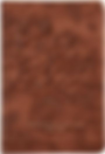 Imagem representativa de Bíblia Bilíngue NVI/NIV, Português/Inglês, Couro-soft, Caramelo, Leitura Perfeita