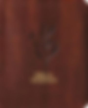 Imagem representativa de Bíblia Mulheres NVT - Uma Coluna - Oliveira Marrom: Por Viviane Martinello