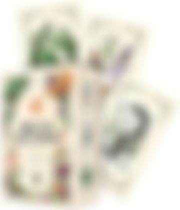 Imagem representativa de Oráculo da Bruxa Natural